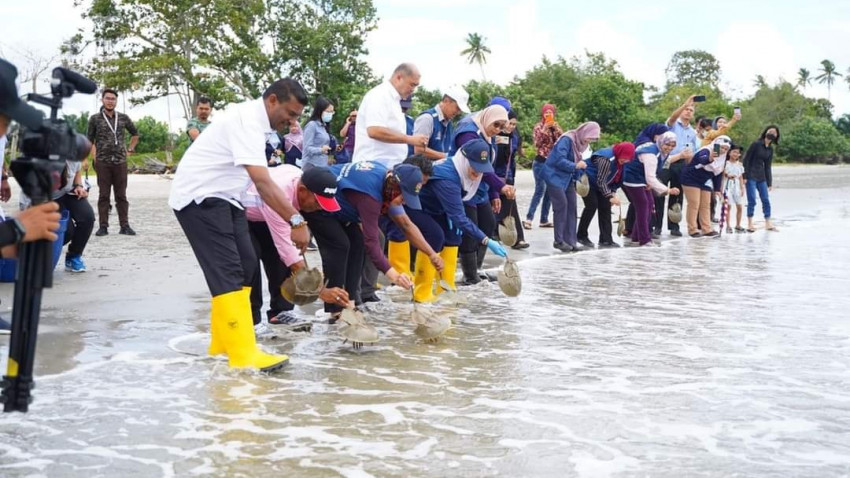 295693674_421169093381057_1586071413588204135_n