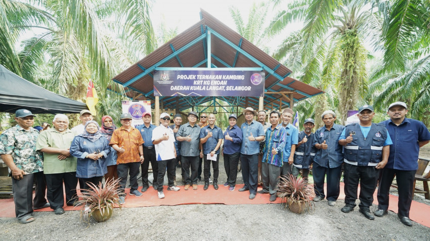 441073421_874842021347093_5742342319403322460_n