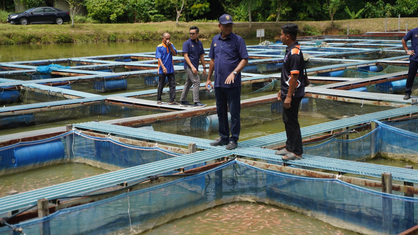 447503170_893796232785005_98938225035525948_n