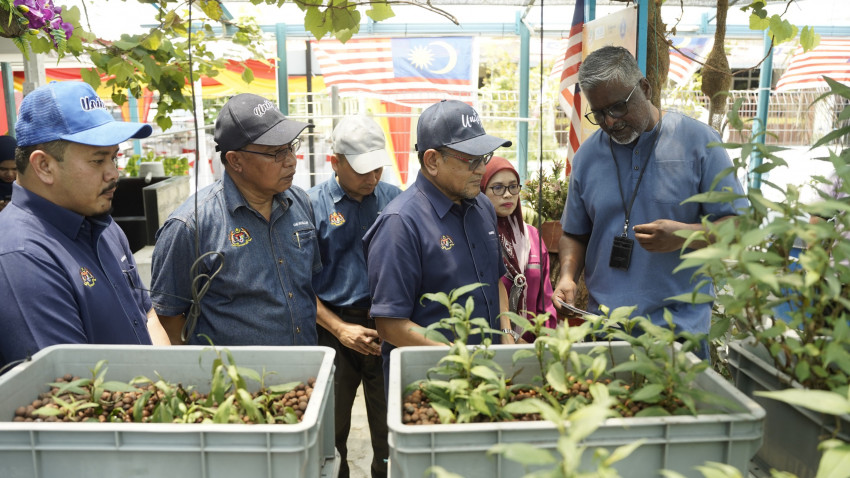 WhatsApp_Image_2024-10-07_at_221330_1