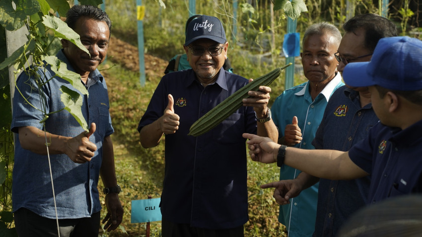 WhatsApp_Image_2024-10-08_at_115147_2