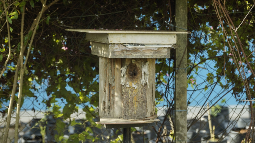 WhatsApp_Image_2024-10-08_at_115149