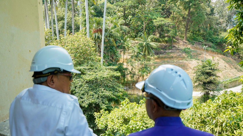 WhatsApp_Image_2024-11-07_at_170650_2