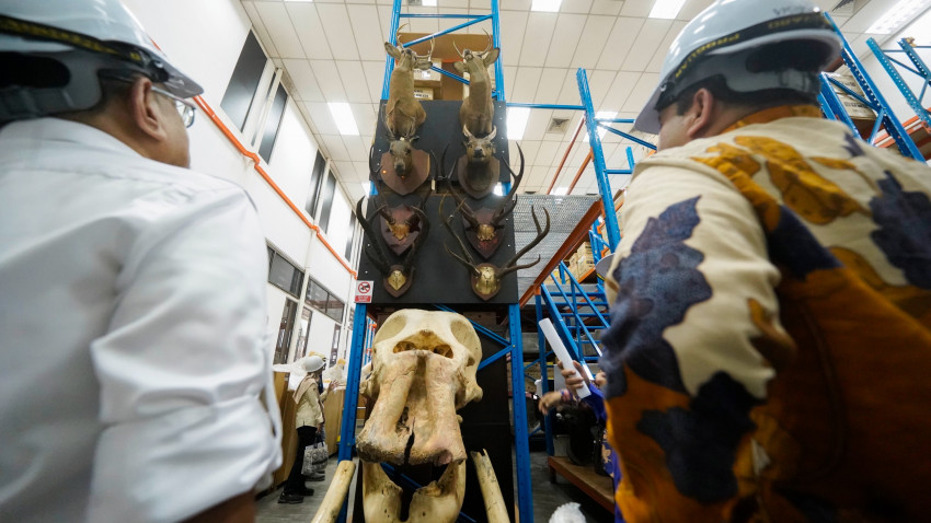 WhatsApp_Image_2024-11-07_at_170654