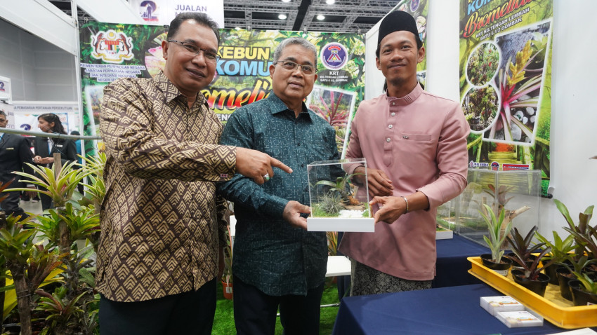 WhatsApp_Image_2024-11-23_at_223856_1