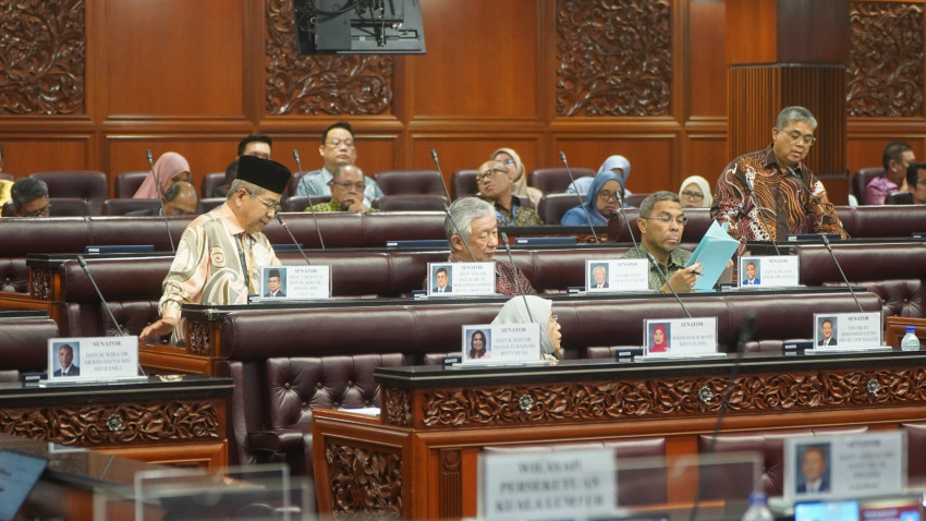 WhatsApp_Image_2024-12-12_at_175521