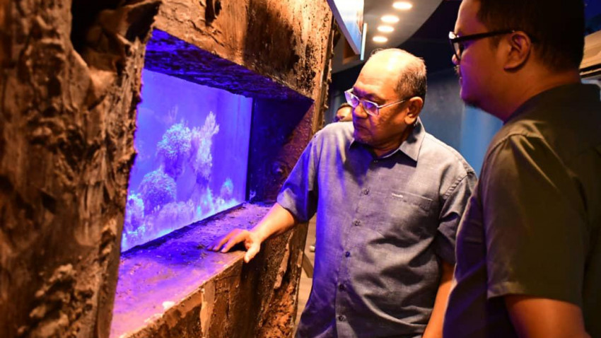 WhatsApp_Image_2025-01-18_at_224946