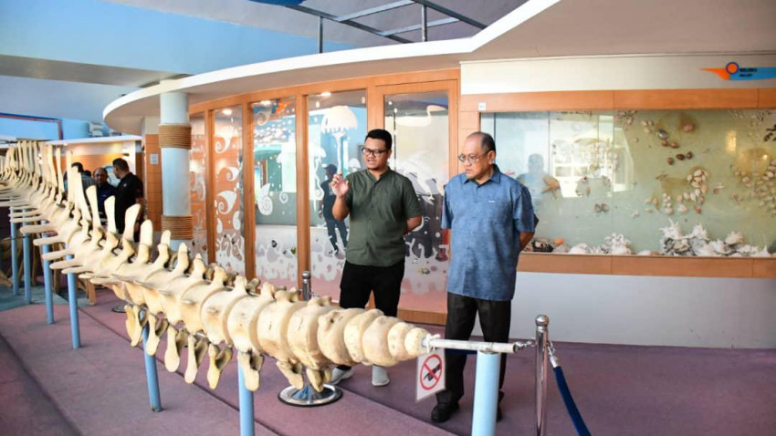 WhatsApp_Image_2025-01-18_at_224946_1