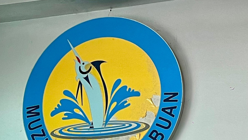 WhatsApp_Image_2025-01-18_at_224946_2