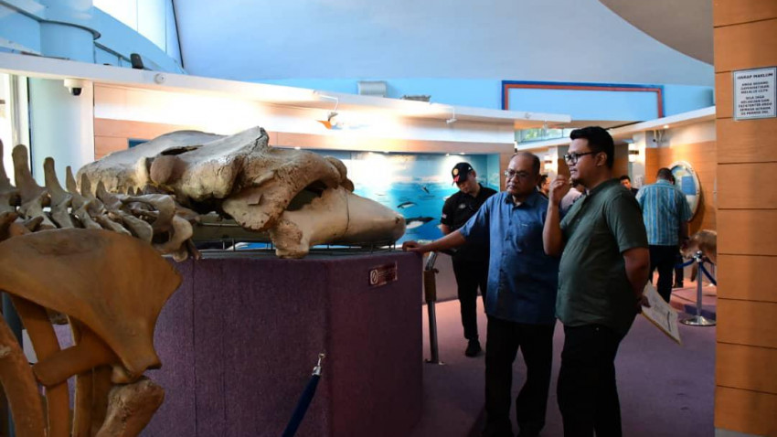 WhatsApp_Image_2025-01-18_at_224946_3