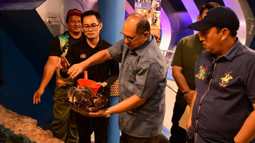 WhatsApp_Image_2025-01-18_at_224947_1