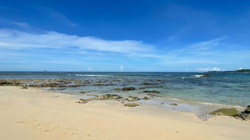 WhatsApp_Image_2025-01-19_at_201413