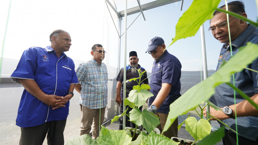 WhatsApp_Image_2025-02-09_at_162353_2