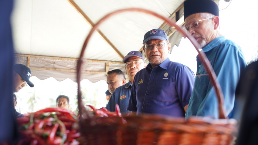 WhatsApp_Image_2025-02-09_at_164635_1