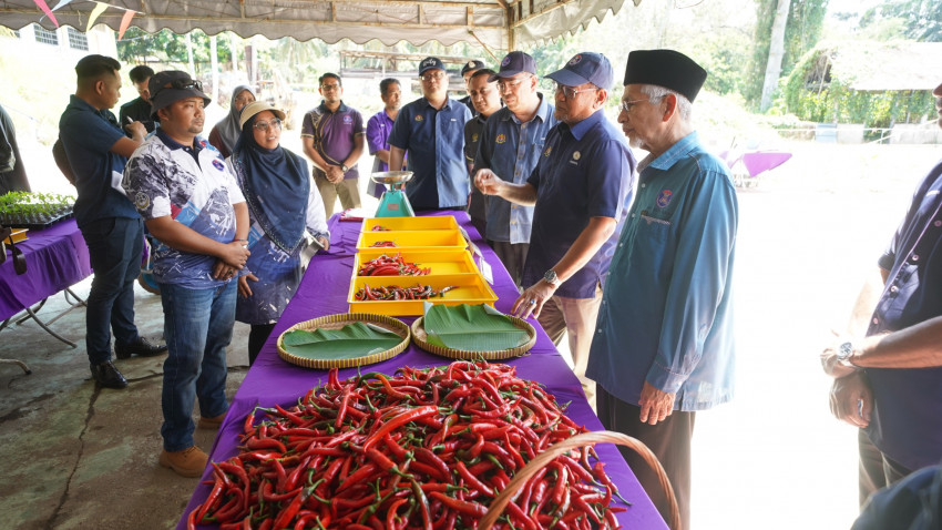 WhatsApp_Image_2025-02-09_at_164635_2