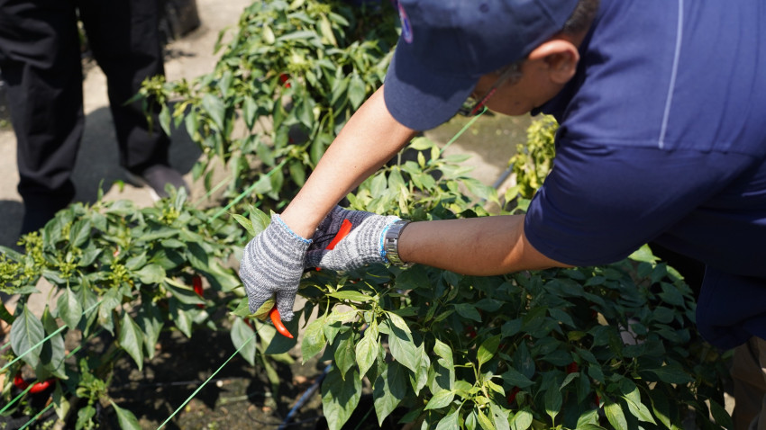 WhatsApp_Image_2025-02-09_at_164635_3