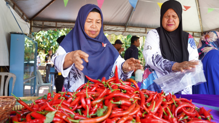 WhatsApp_Image_2025-02-09_at_164636