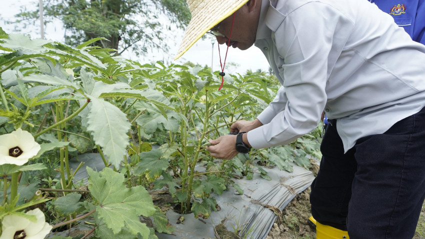 WhatsApp_Image_2025-03-24_at_121929_1