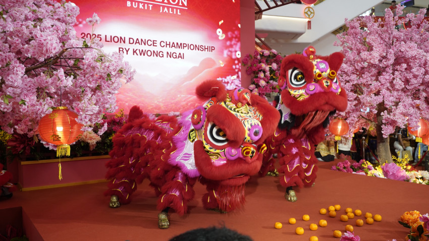 WhatsApp_Image_2026-01-22_at_150934_3