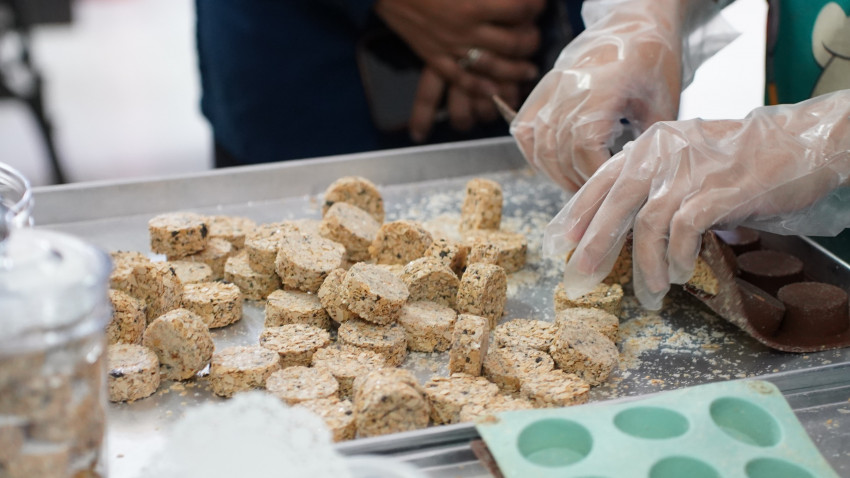 WhatsApp_Image_2026-03-10_at_142424_2