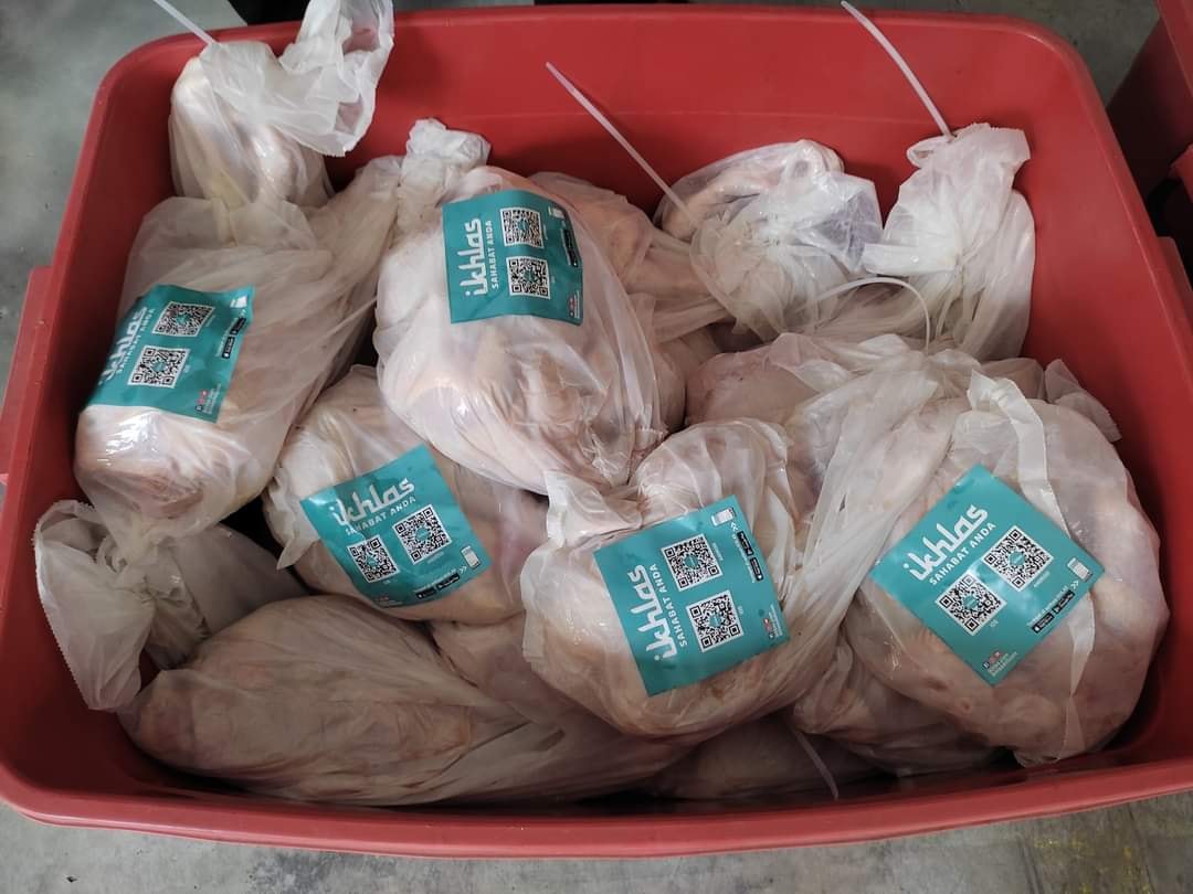 279843115 366053845559249 1673843792246191673 N