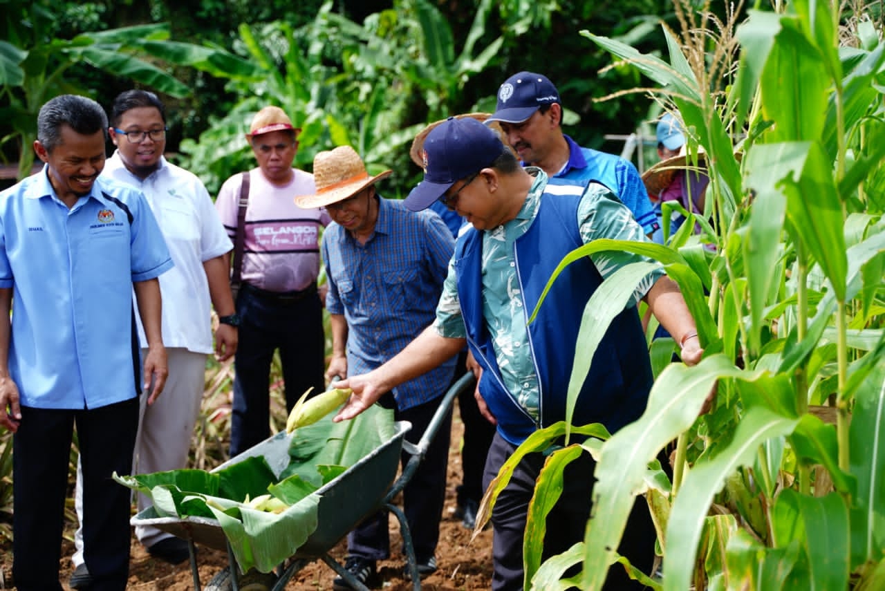 320566903 887854525880706 5622675813835735106 N