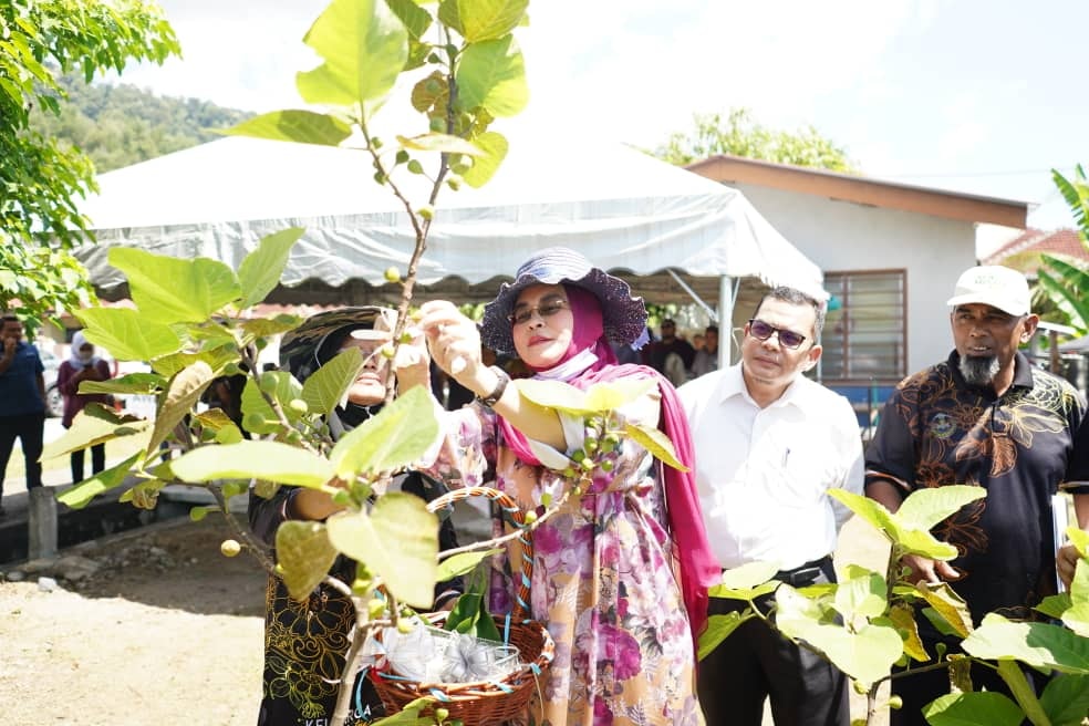 306765063 454992393332060 3223970055782610356 N