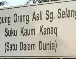 SINGBOARD KG ASLI2706210333